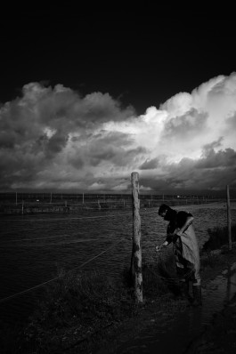 Emanuel Herm