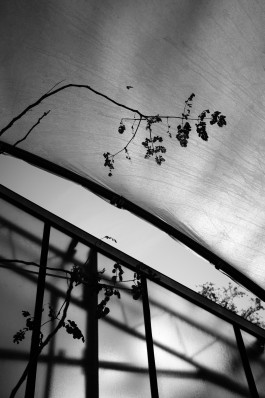 Emanuel Herm