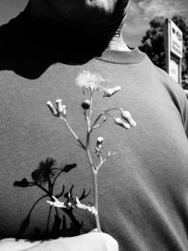 Emanuel Herm